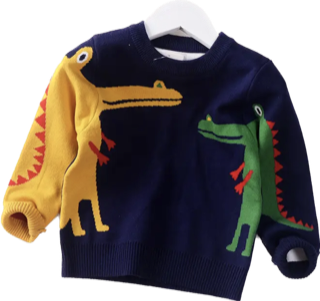 Double Dino Boys Sweater